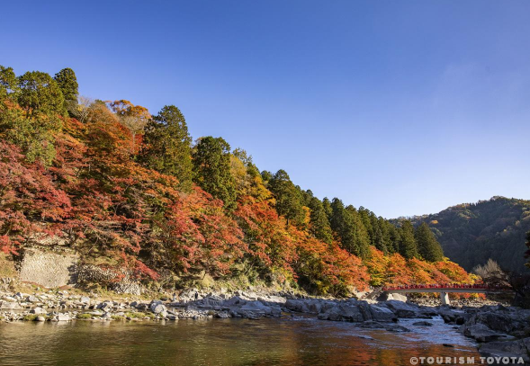 tourismtoyota.jp tourismtoyota.jp