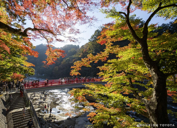 tourismtoyota.jp tourismtoyota.jp