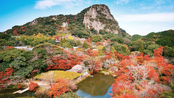 九州賞楓必去！2026御船山樂園紅葉祭日夜雙絕 日本最大夜楓點燈/免費接駁巴士+懶人包 