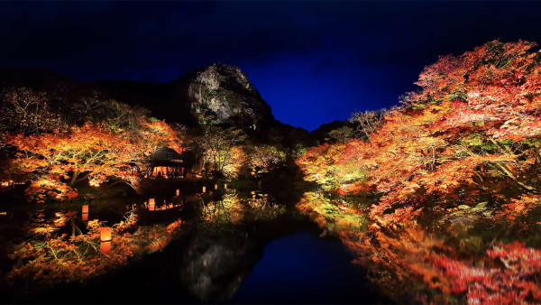 九州賞楓必去！2026御船山樂園紅葉祭日夜雙絕 日本最大夜楓點燈/免費接駁巴士+懶人包 