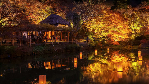 九州賞楓必去！2026御船山樂園紅葉祭日夜雙絕 日本最大夜楓點燈/免費接駁巴士+懶人包 