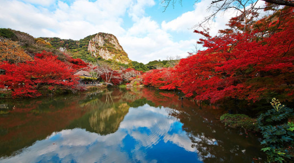 九州賞楓必去！2026御船山樂園紅葉祭日夜雙絕 日本最大夜楓點燈/免費接駁巴士+懶人包 