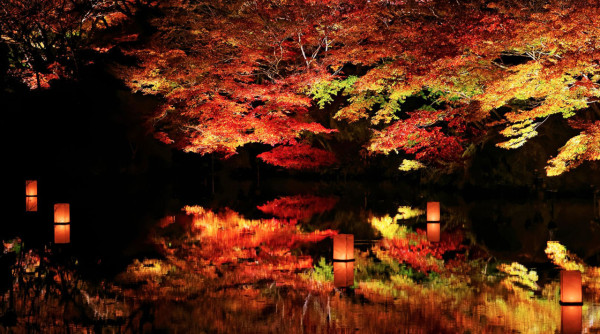 九州賞楓必去！2026御船山樂園紅葉祭日夜雙絕 日本最大夜楓點燈/免費接駁巴士+懶人包 