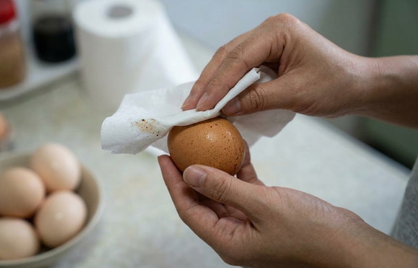 雞蛋中毒｜一家三口食炒蛋集體中毒入醫院！專家拆解變質致毒原因是做多這一步 附4大雞蛋正確保存方法
