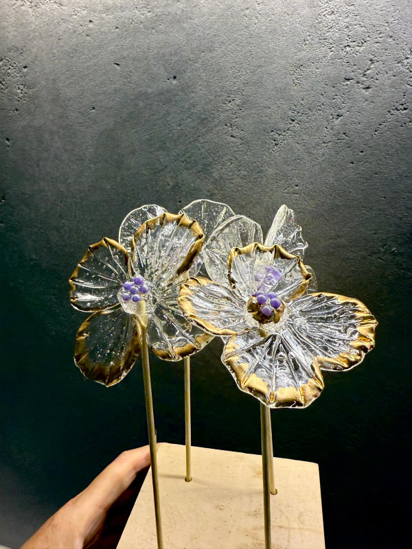 鰂魚涌舍區「人人舍區節」！一連兩日免費玩逾30項工作坊/草地音樂會/市集
