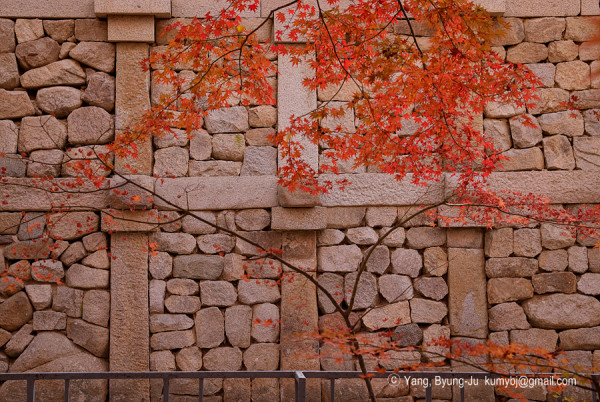 bulguksa.or.kr bulguksa.or.kr