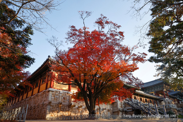 bulguksa.or.kr bulguksa.or.kr