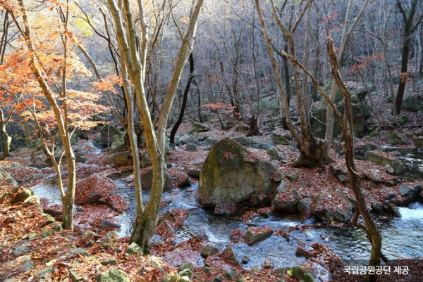 visitkorea visitkorea