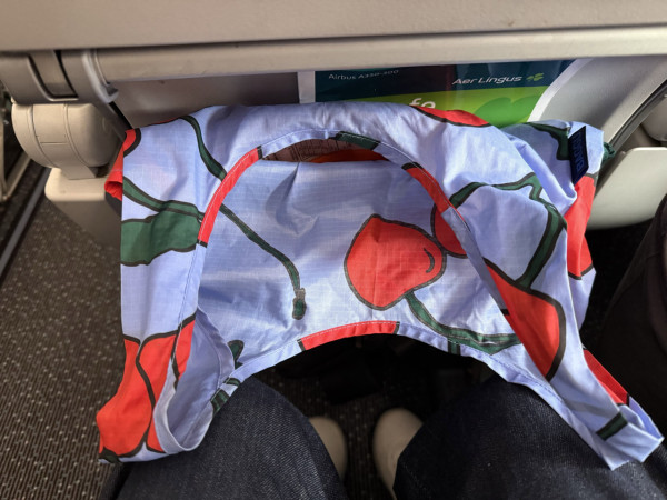 飛機椅袋暗藏衛生隱患？網民教帶1法寶自製「隔污袋」 空姐爆驚人內幕：曾見用過尿片 
