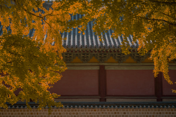 tchinese.seoul.go.kr
