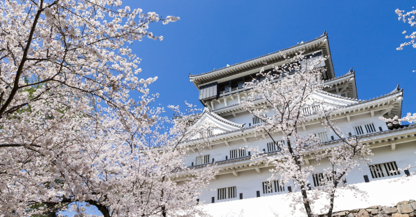 幾多錢先叫平機票？港人嘆$700飛日本成絕跡 爆共鳴：附加費仲貴過飛