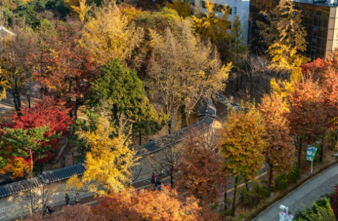 visitseoul.net