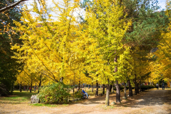 visitkorea.or.kr