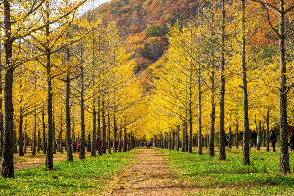 visitkorea.or.kr