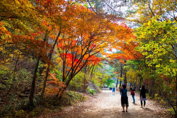 visitkorea.or.kr