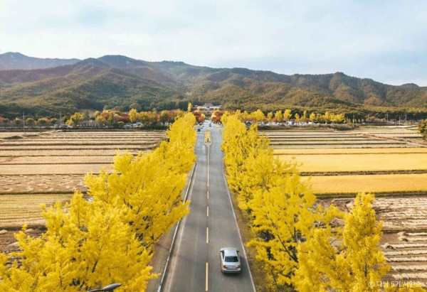 visitkorea.or.kr