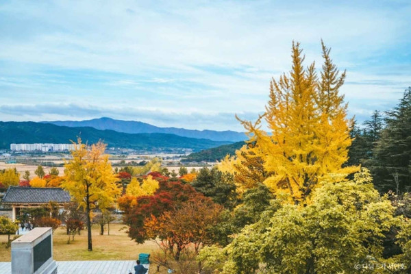 visitkorea.or.kr