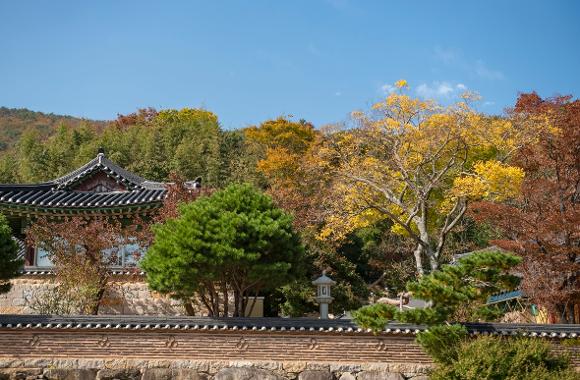 visitbusan