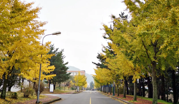 visitjeju.net