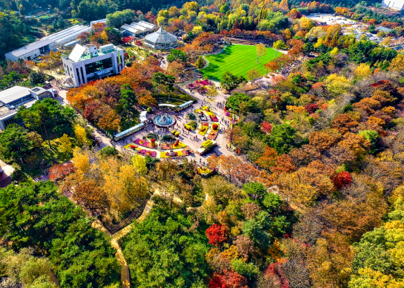 visitkorea