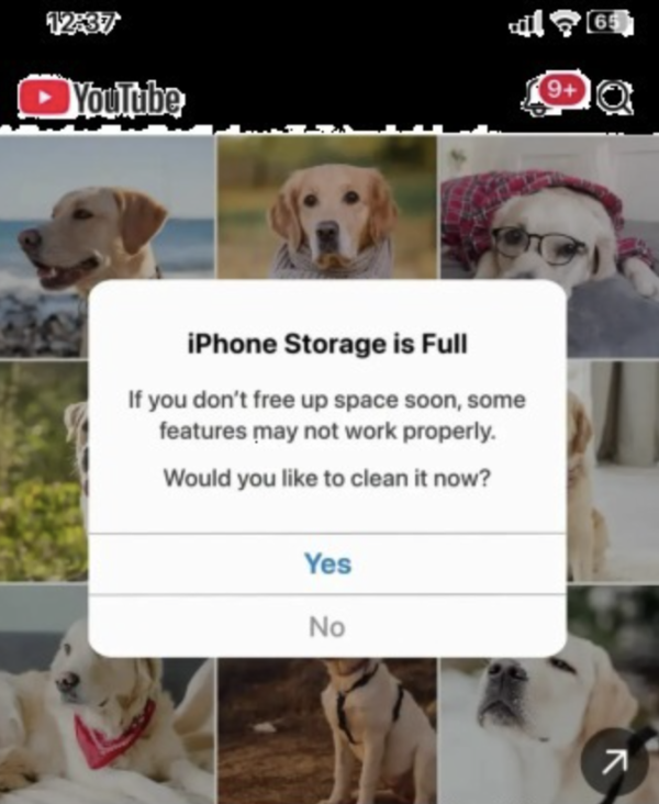 全港警惕！iPhone 跳出「空間不足」切勿亂撳 隨時下載病毒軟件跌入詐騙陷阱【即睇3類陷阱通知】