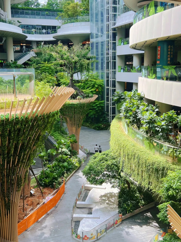 深圳「小新加坡」 地鐵直達！商場露天中庭＋200多種植物 網民大讚：藏在都市中的雨林 
