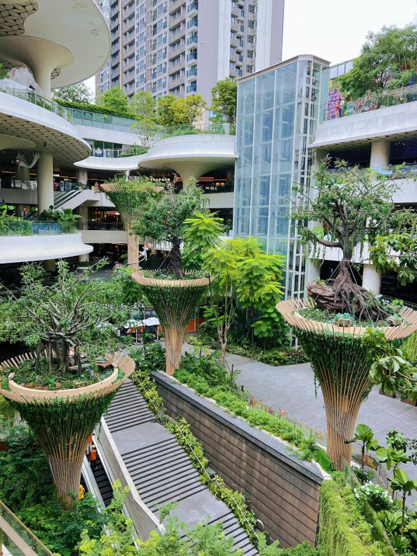 深圳「小新加坡」 地鐵直達！商場露天中庭＋200多種植物 網民大讚：藏在都市中的雨林 