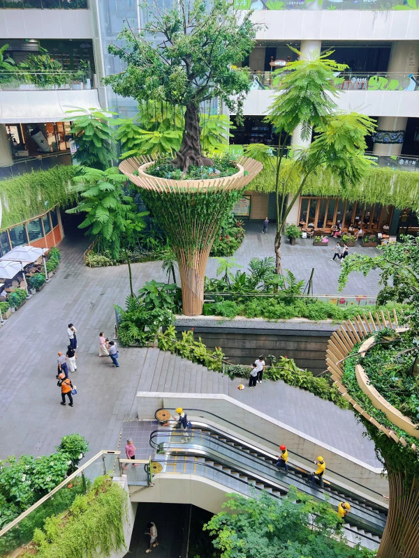 深圳「小新加坡」 地鐵直達！商場露天中庭＋200多種植物 網民大讚：藏在都市中的雨林 