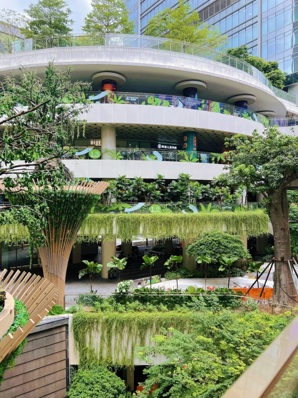 深圳「小新加坡」 地鐵直達！商場露天中庭＋200多種植物 網民大讚：藏在都市中的雨林 