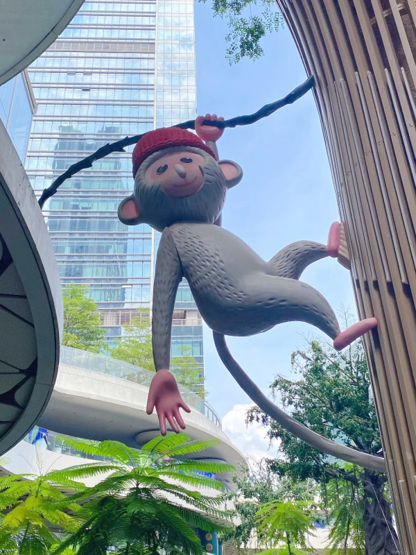 深圳「小新加坡」 地鐵直達！商場露天中庭＋200多種植物 網民大讚：藏在都市中的雨林 