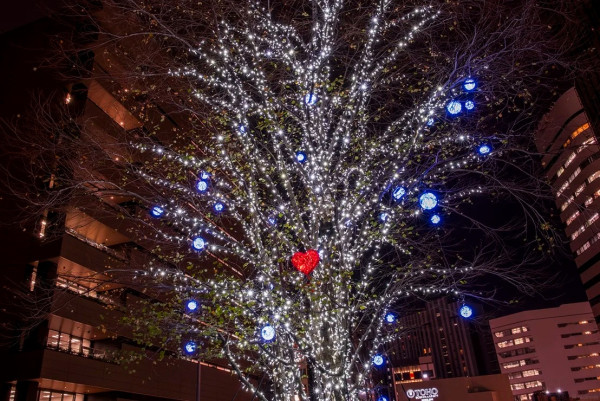 ※去年的實景圖,圖片來源:hibiya.tokyo-midtown.com 東京聖誕好去處2026|東京Mid Town日比谷冬季燈飾夢幻登場!8米高復仇者聯盟聖誕樹/4大燈區打卡必去