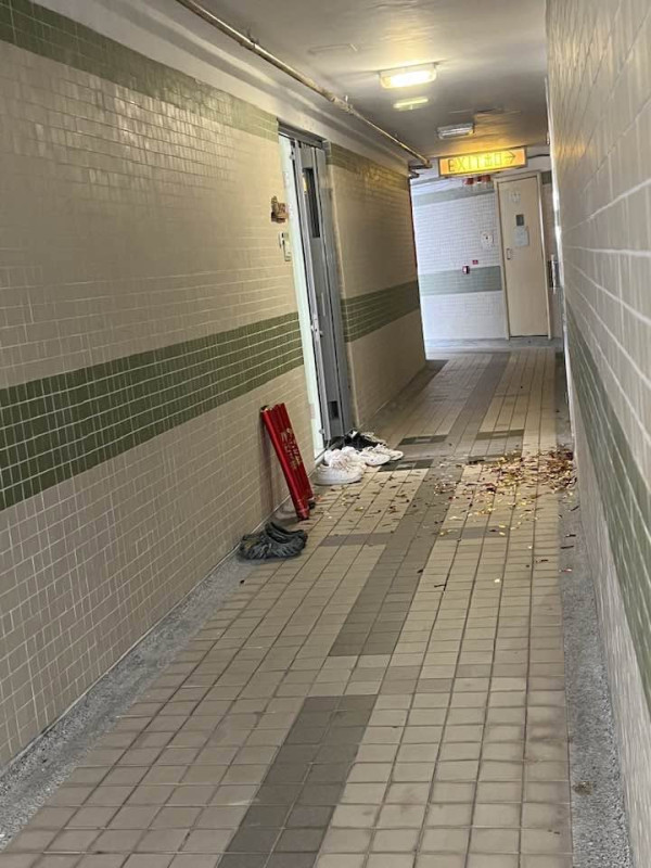 网友感惊诧：猫都吓饱（截图：Facebook@葵盛东邨街坊互助互利交流群）