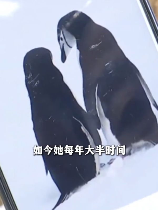 照片來源:小紅書@長江日報 照片來源:小紅書@長江日報