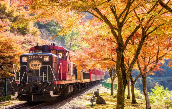 圖片來源:sagano-kanko.co.jp 京都紅葉2026|嵐山嵯峨野小火車「光之幻想列車」10.24登場!現役舊車款年底退役
