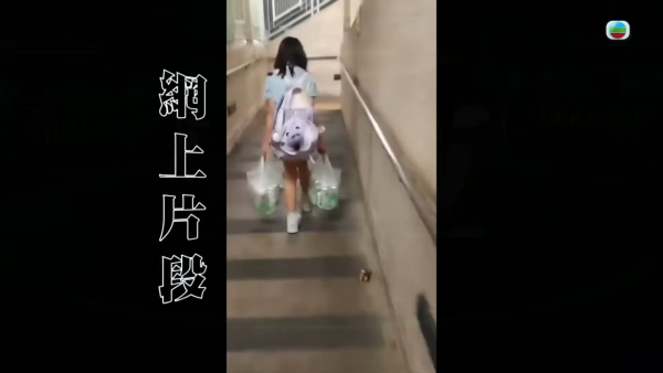 【東張再爆內幕】屯門11歲女童曾求救「幾時帶我走」！生父好友驚揭繼父原是「契哥」勾引人妻
