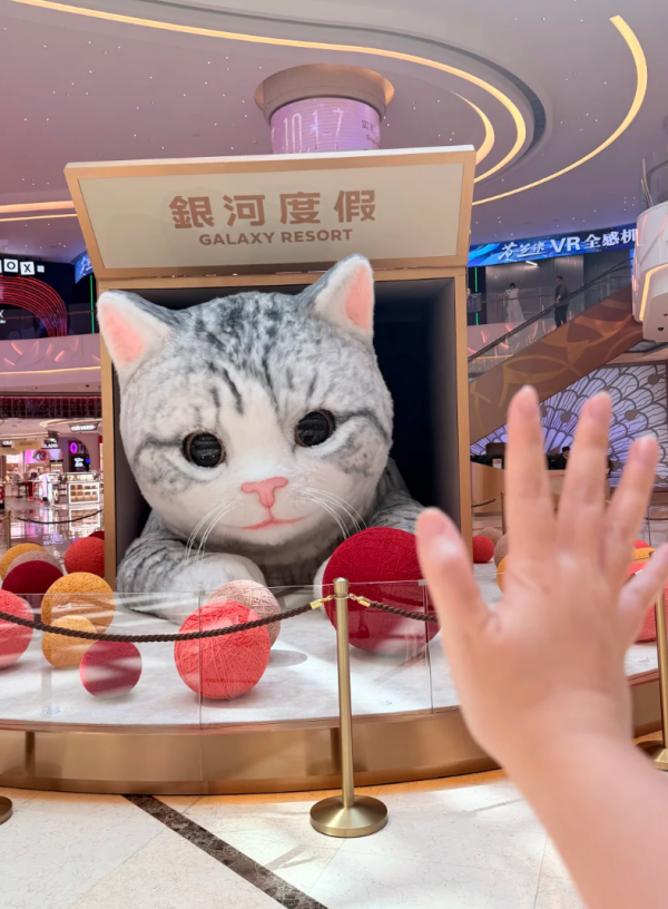 照片來源:小紅書@我是哈哈啊 照片來源:小紅書@我是哈哈啊