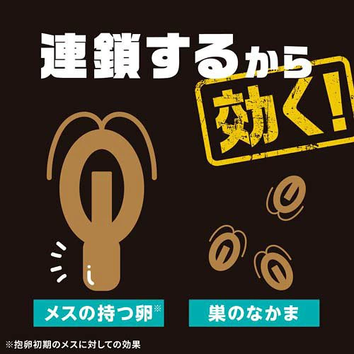 Threads熱推日本製蟑螂消滅神器 網民讚一日見效！塞縫隙超方便、一粒長效一年 