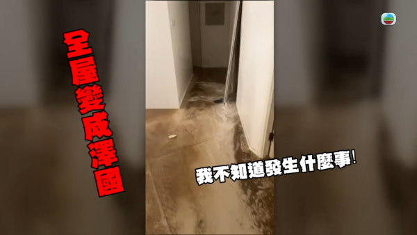 【爆渠噩夢】北角私樓單位兩度遭污水倒灌全屋!含排洩物慘蝕120萬 管理公司卸責拒賠引怒火