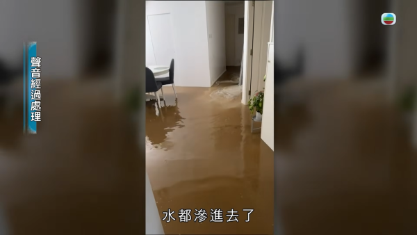 【爆渠噩夢】北角私樓單位兩度遭污水倒灌全屋！含排洩物慘蝕120萬 管理公司卸責拒賠引怒火