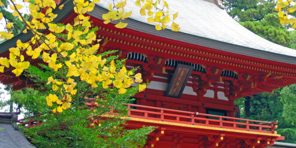 katori-jingu.or.jp katori-jingu.or.jp