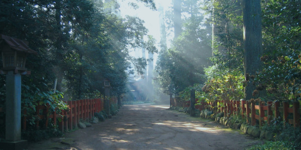 katori-jingu.or.jp katori-jingu.or.jp