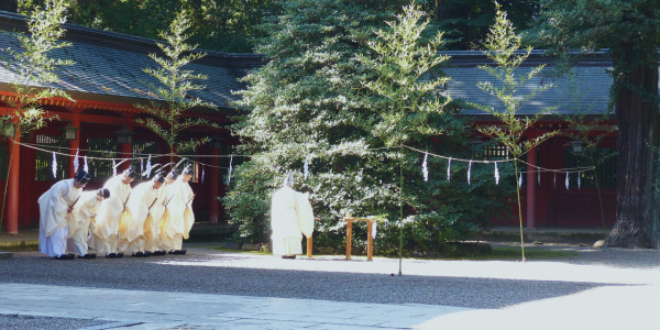 katori-jingu.or.jp katori-jingu.or.jp