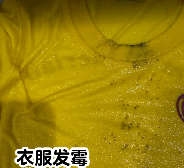 照片来源：小红书@JJ 静静