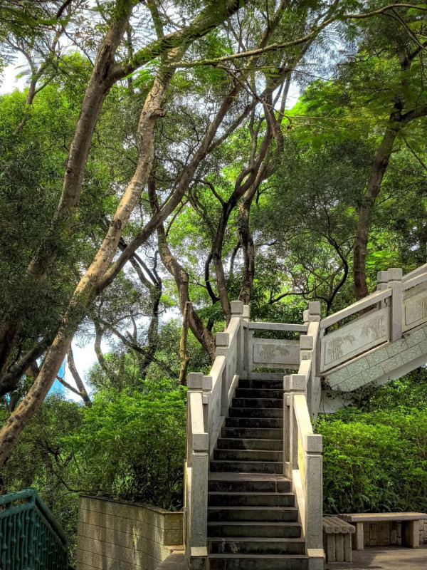 翠竹公園(圖片來源:小紅書@周狱瞳) 新皇崗口岸地鐵7號線食買玩懶人包 老字號飲早茶/山姆掃貨/古風庭園一日遊
