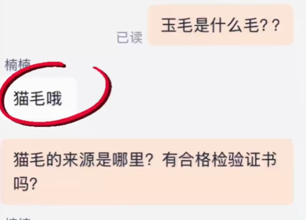 照片來源:小紅書@搗蛋娛樂 照片來源:小紅書@搗蛋娛樂