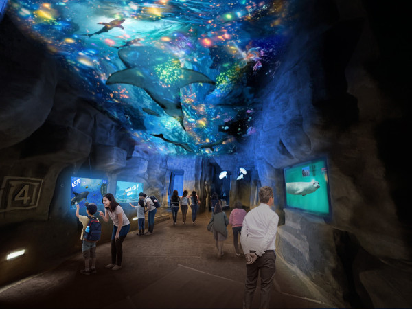 海洋公園50周年！全新大熊貓館2027年啟用／聯乘50個本土IP