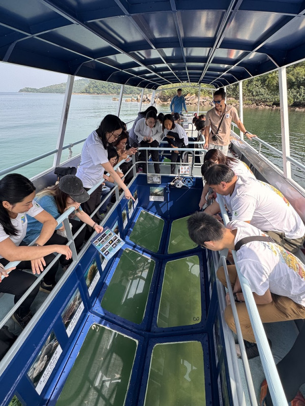 漁護署推公眾導賞團！免費出海睇白海豚+搭玻璃底船探索海下灣 即睇4大主題報名詳情/截止日期