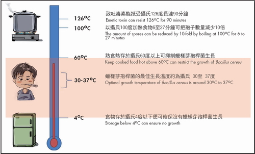 觀塘食物製造廠鮮肉榨菜包菌量超標1.5倍 食安中心下令即時停售 進食隨時引發嘔吐腹瀉