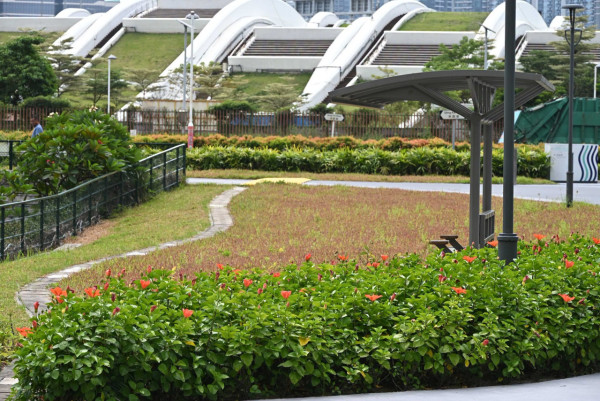 啟德新公園景點!百年龍津石橋遺蹟免費開放 附九龍城打卡半日遊路線