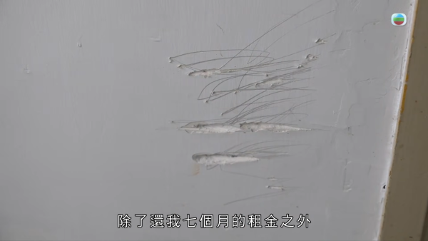 惡租霸違約轉租兼破壞單位！地獄報復手段曝光泥沙塞廚廁 業主勝訴收樓驚見毀滅級現場